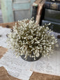 WHOLESALE White/Cream Half Sphere - 9 Inch